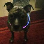 ray verweg Profile Picture