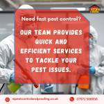NI Pest Control Proofing Profile Picture