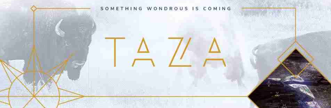 Taza Development Cover Image
