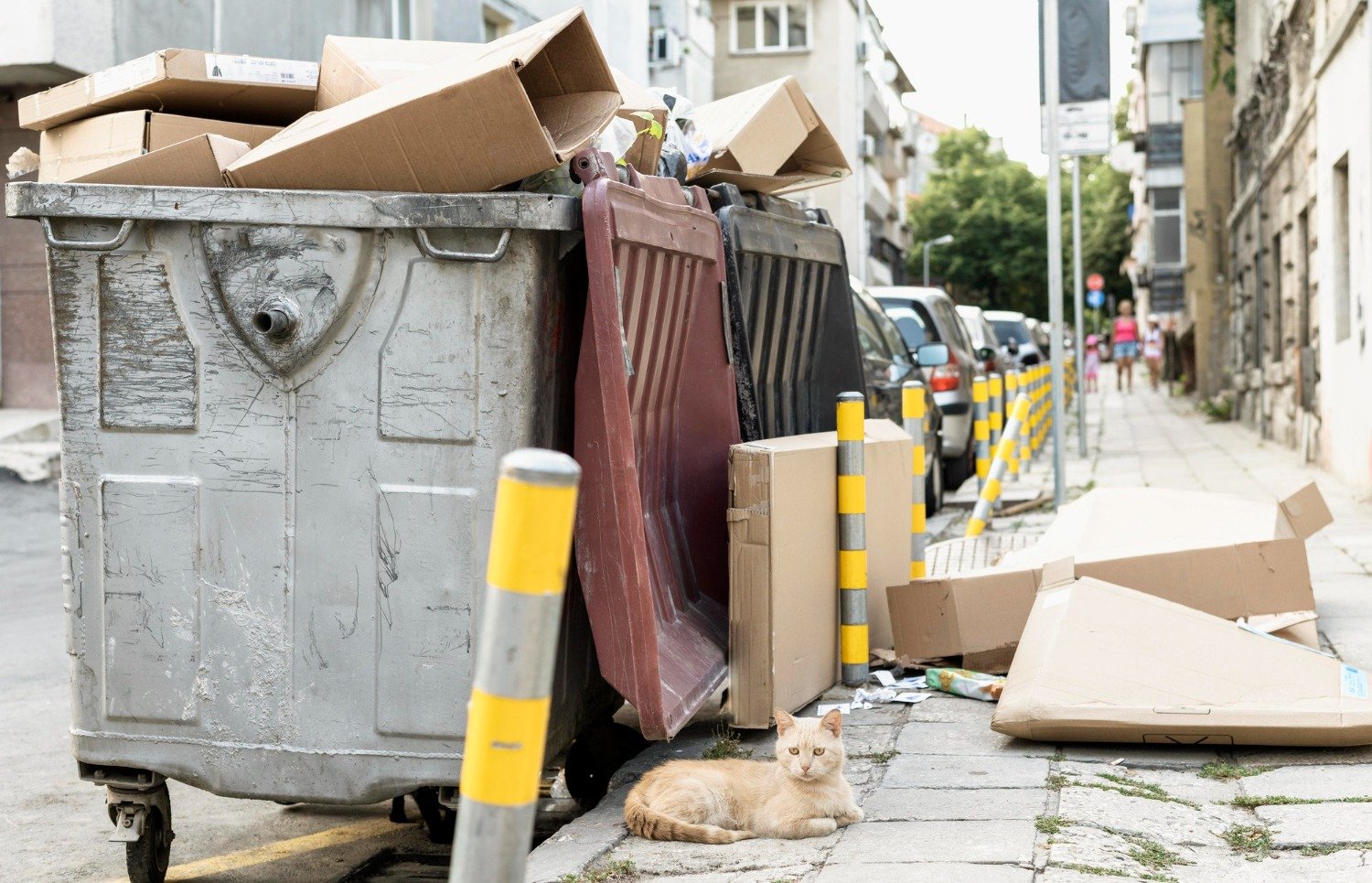 30 Yard Dumpster Dimensions | Size, Capacity & Uses Explained